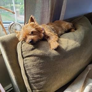 Meet your Posher, Daniel